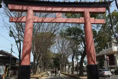 Large red torii gate at Hikawa Shrine in Omiya, with people walking along a tree-lined path