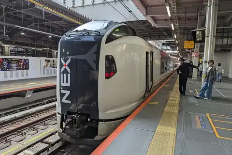 A Narita Express train with its N'EX logo stopped at a platform in Shibuya station