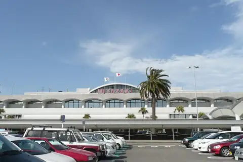 Exterior of Miyazaki Airport terminal with pink MIYAZAKI lettering, arched windows, a palm tree, and parked cars in front