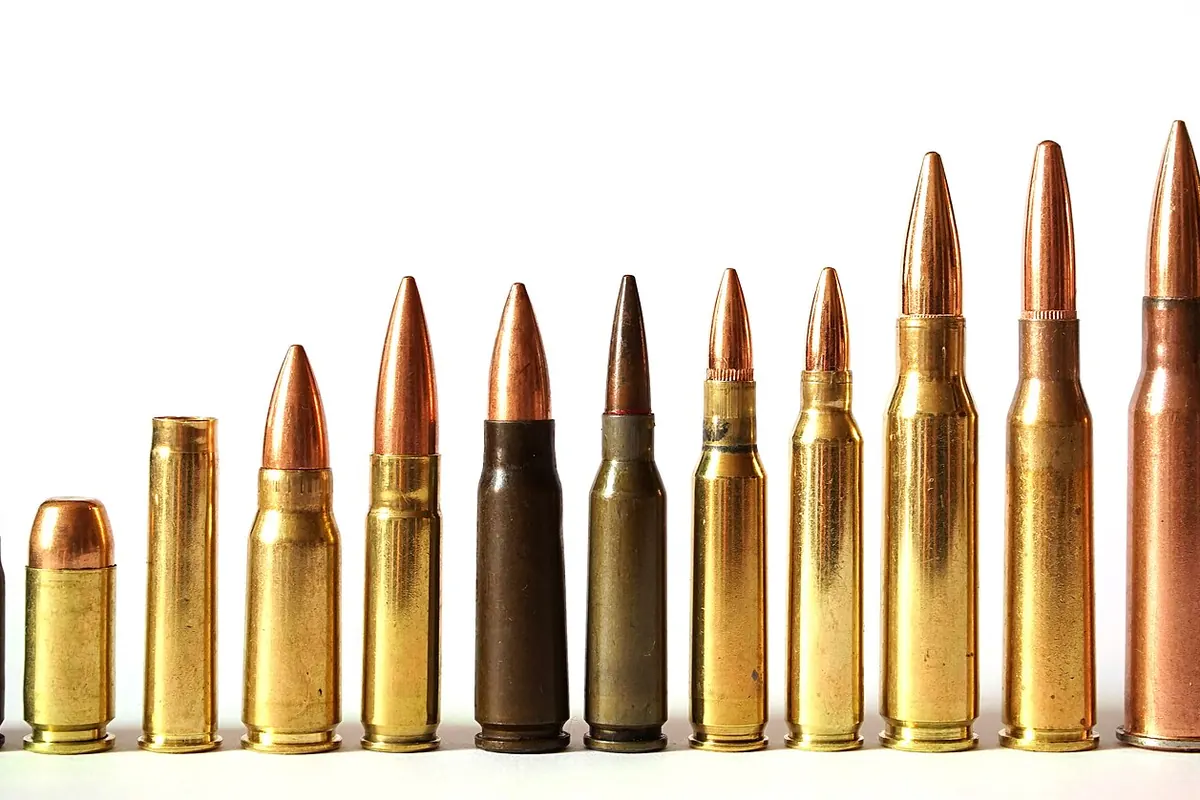 Various bullet cartridges of different calibers arranged in a row from smallest to largest