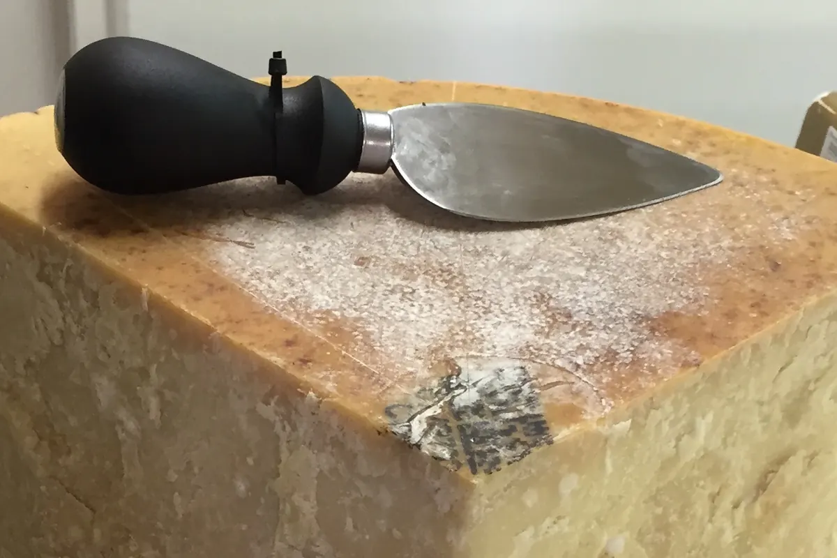 A Parmesan cheese knife resting on a large wedge of pale yellow cheese