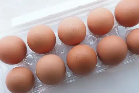 Carton of whole brown chicken eggs