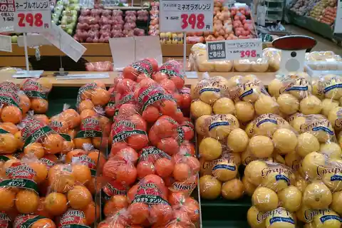 Oranges, mandarins, and grapefruit in mesh bags on display in a Japanese supermarket with price tags