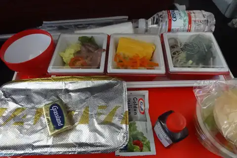 Japan Airlines economy class inflight meal with small dishes on a red tray