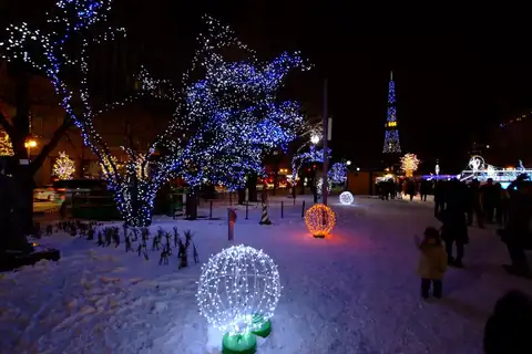Trees decorated with blue and white lights on snow-covered ground at night in Sapporo, with a lit tower in the distance