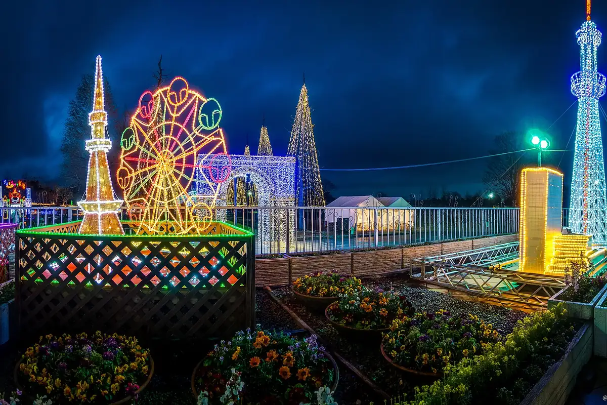 Ferris wheel of colorful lights and a golden tower at the Kisosansen winter illumination, with flower beds in front