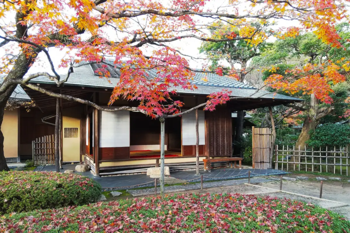 Wooden Japanese hall at Shōfū-an in Fukuoka, with red and orange maple leaves around it