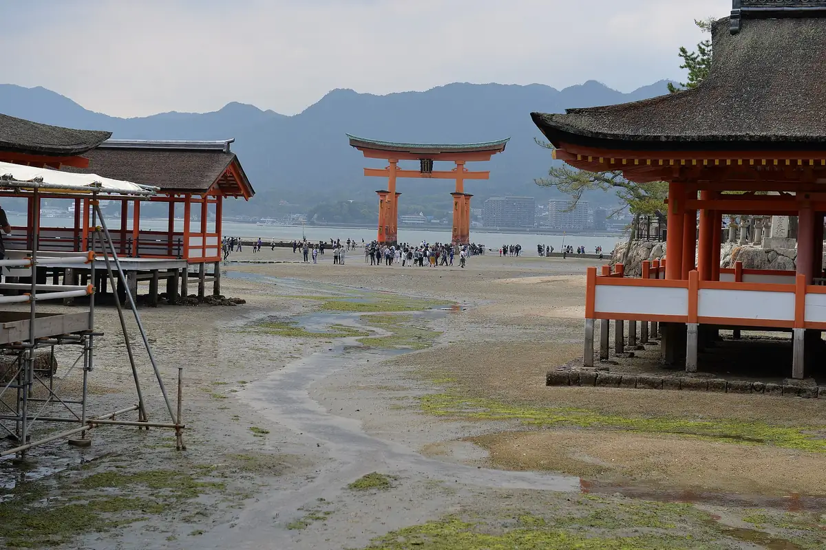 Itsukushima Shrine's torii gate standing on the tidal flat at low tide, with the shrine's red buildings beside it