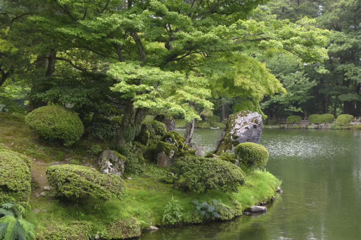 Trimmed shrubs, a moss-covered rock and leafy trees beside Kasumi-ga-ike pond in Kenroku-en Garden, Kanazawa
