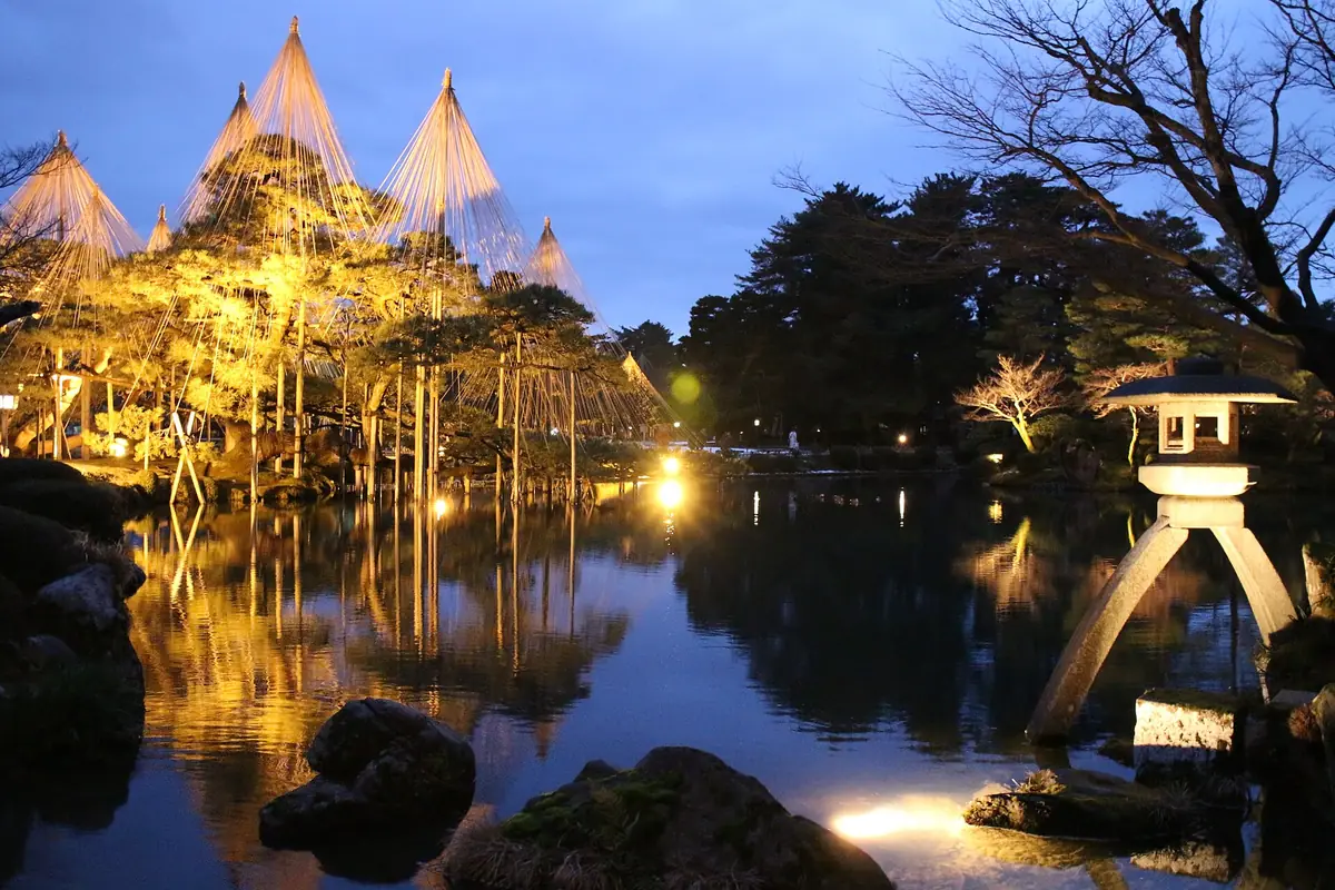 Illuminated cone-shaped yukitsuri ropes on pine trees by a pond with a stone lantern at Kenroku-en Garden at dusk