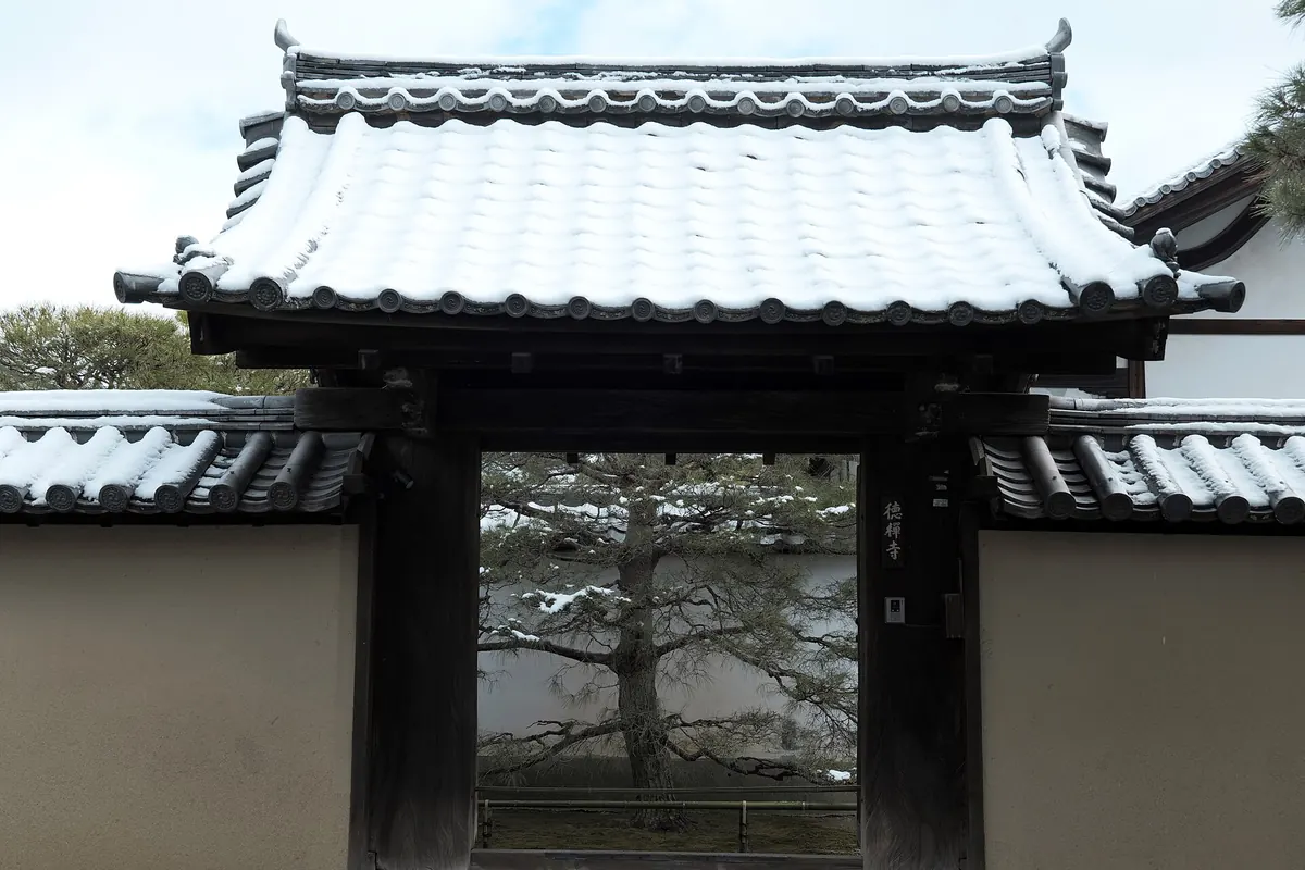 Temple gate with snow on its tiled roof and a pine tree seen through the gateway