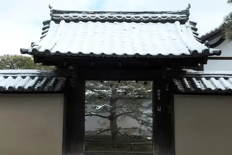 기와지붕에 눈이 쌓인 사찰 정문, 문 너머로 보이는 소나무