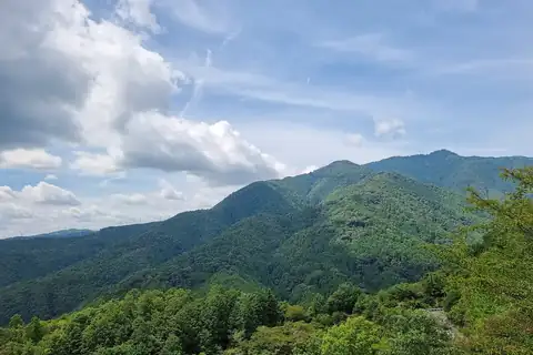 교토부 아타고산의 녹색 숲으로 덮인 산줄기