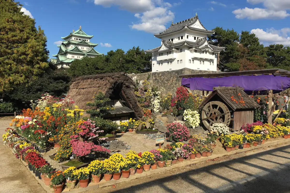 Red, yellow, pink and white chrysanthemums with a thatched hut and waterwheel in front of Nagoya Castle