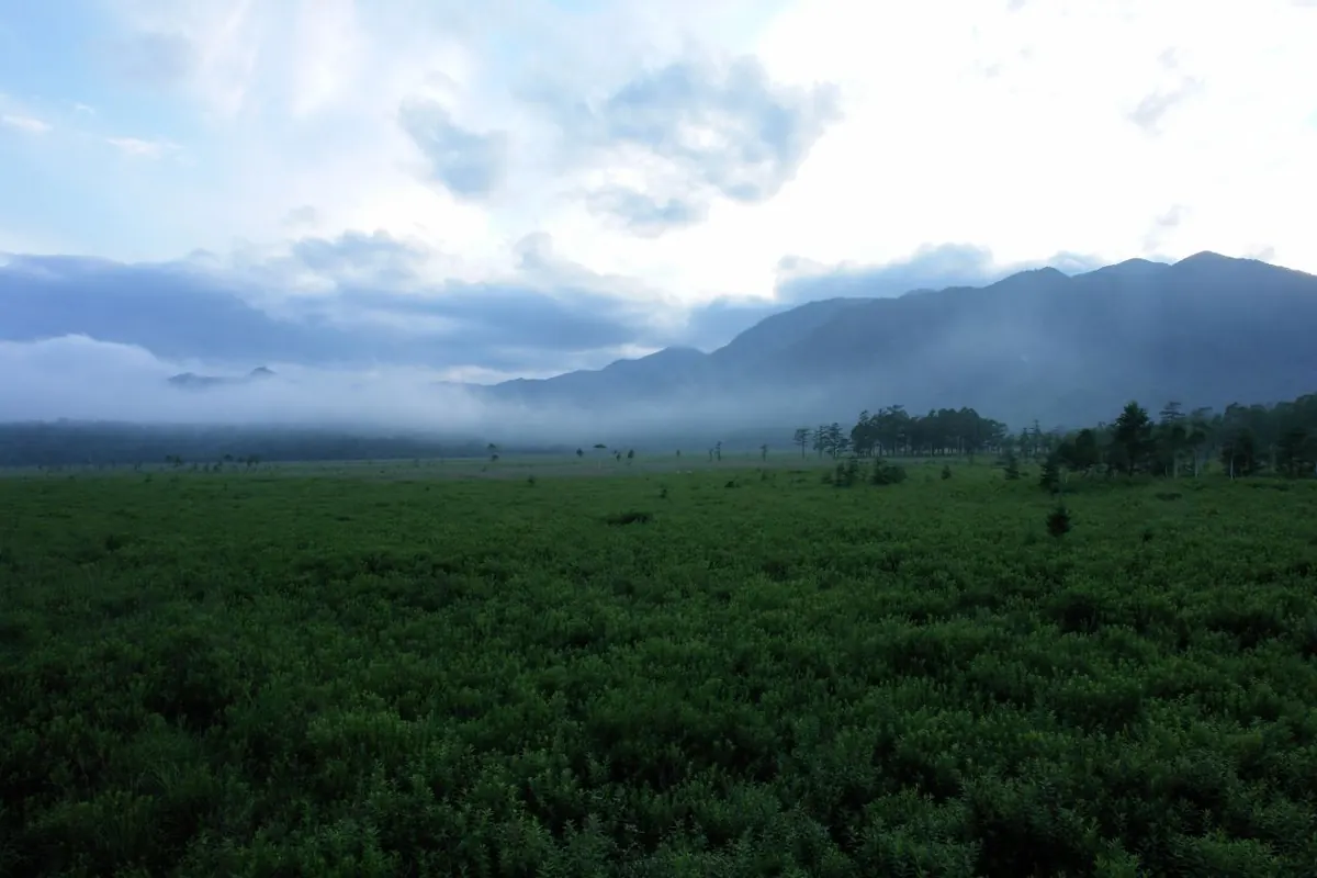 Green marshland of Senjogahara Plateau in Nikko with mist drifting below the mountains
