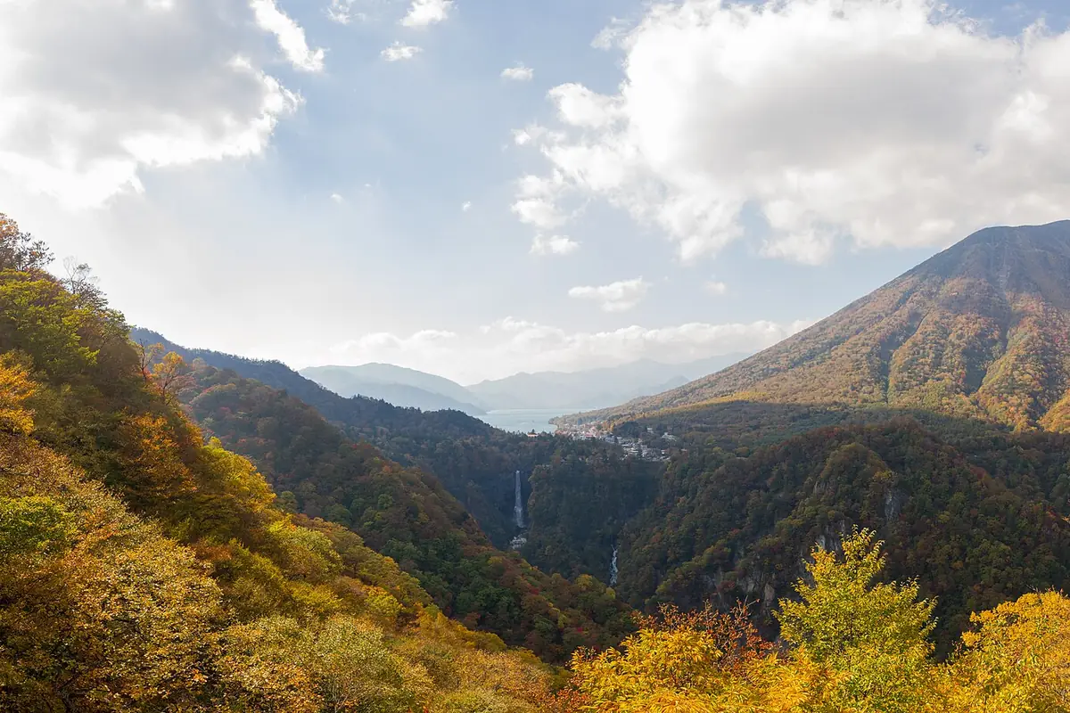 日光の山の斜面を染める黄色とオレンジの紅葉、奥に華厳の滝・男体山・中禅寺湖