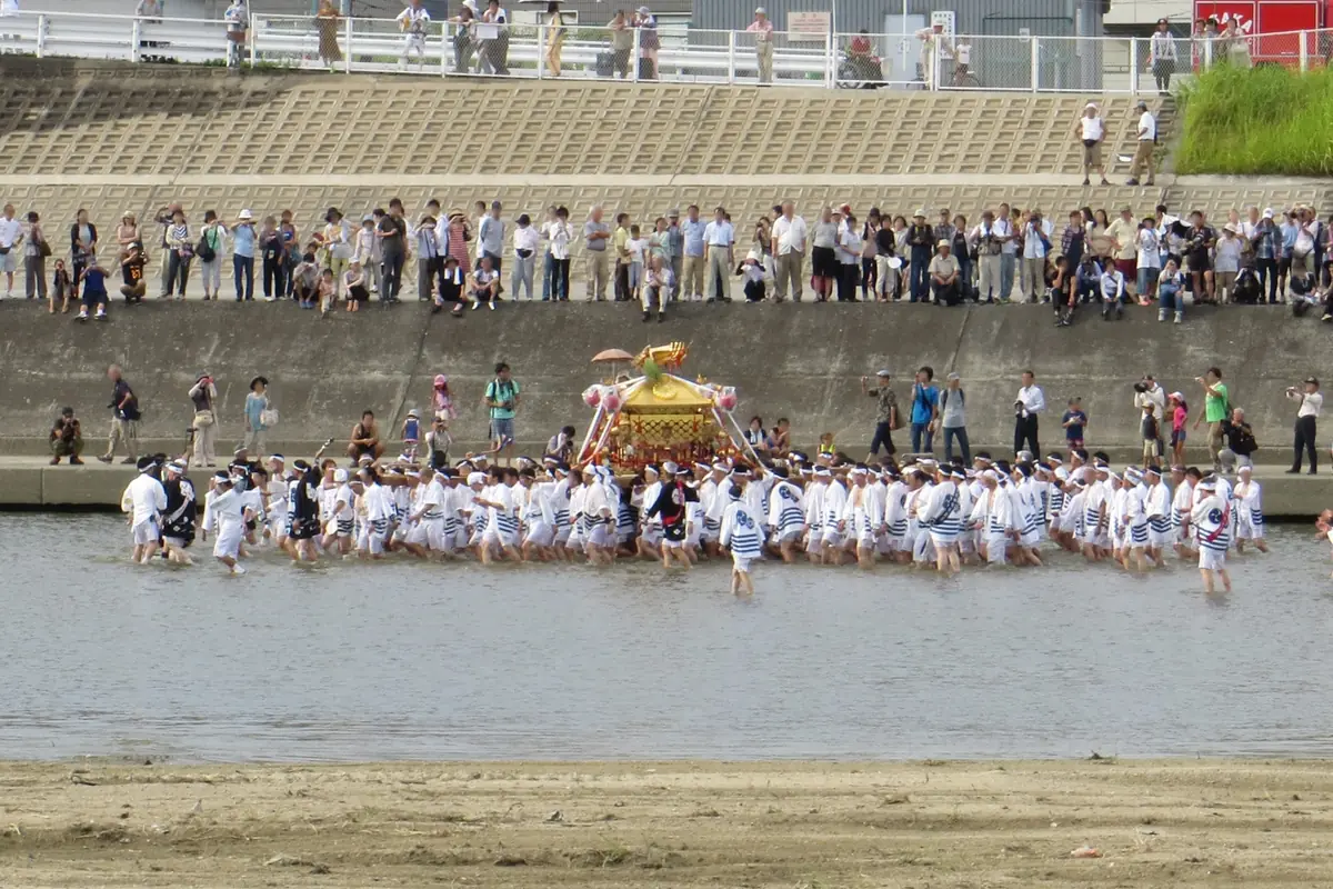 Men in white carry a golden mikoshi through a river as a crowd watches from the embankment above