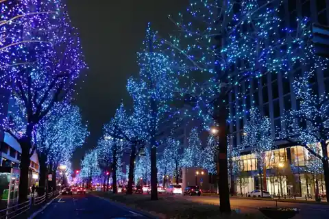밤에 오사카 미도스지 거리를 따라 늘어선 나무들을 뒤덮은 파란색과 보라색 일루미네이션