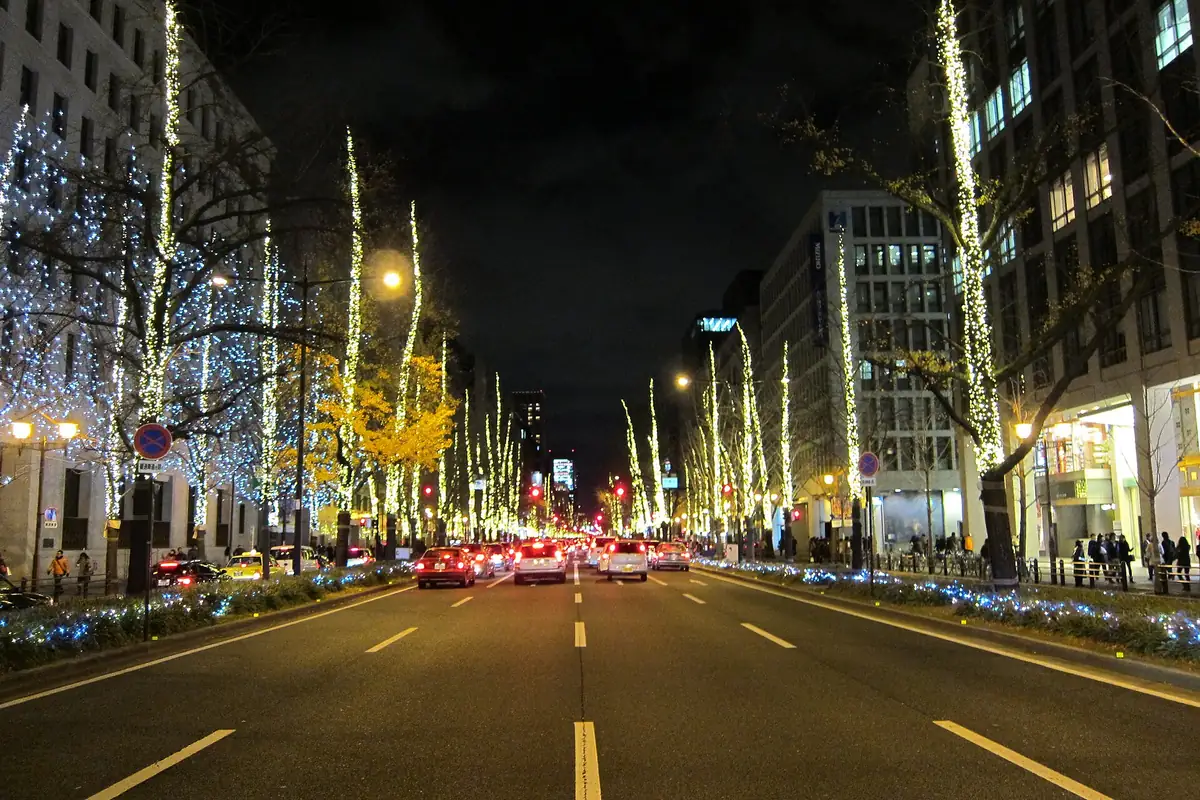 Night view down Midosuji, a wide Osaka avenue with trees wrapped in lights and cars on the road