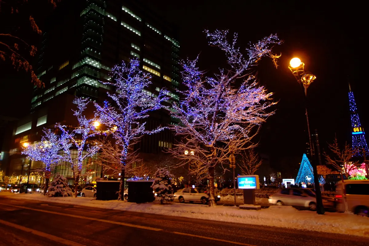 Trees lit with white and blue lights along a snowy street in central Sapporo at night