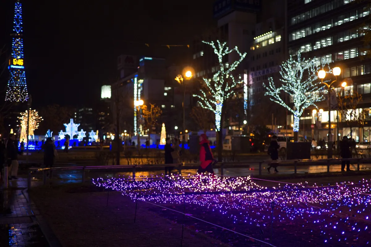 夜の芝生に広がる紫色のライト、白く光る木々と背後に光るテレビ塔