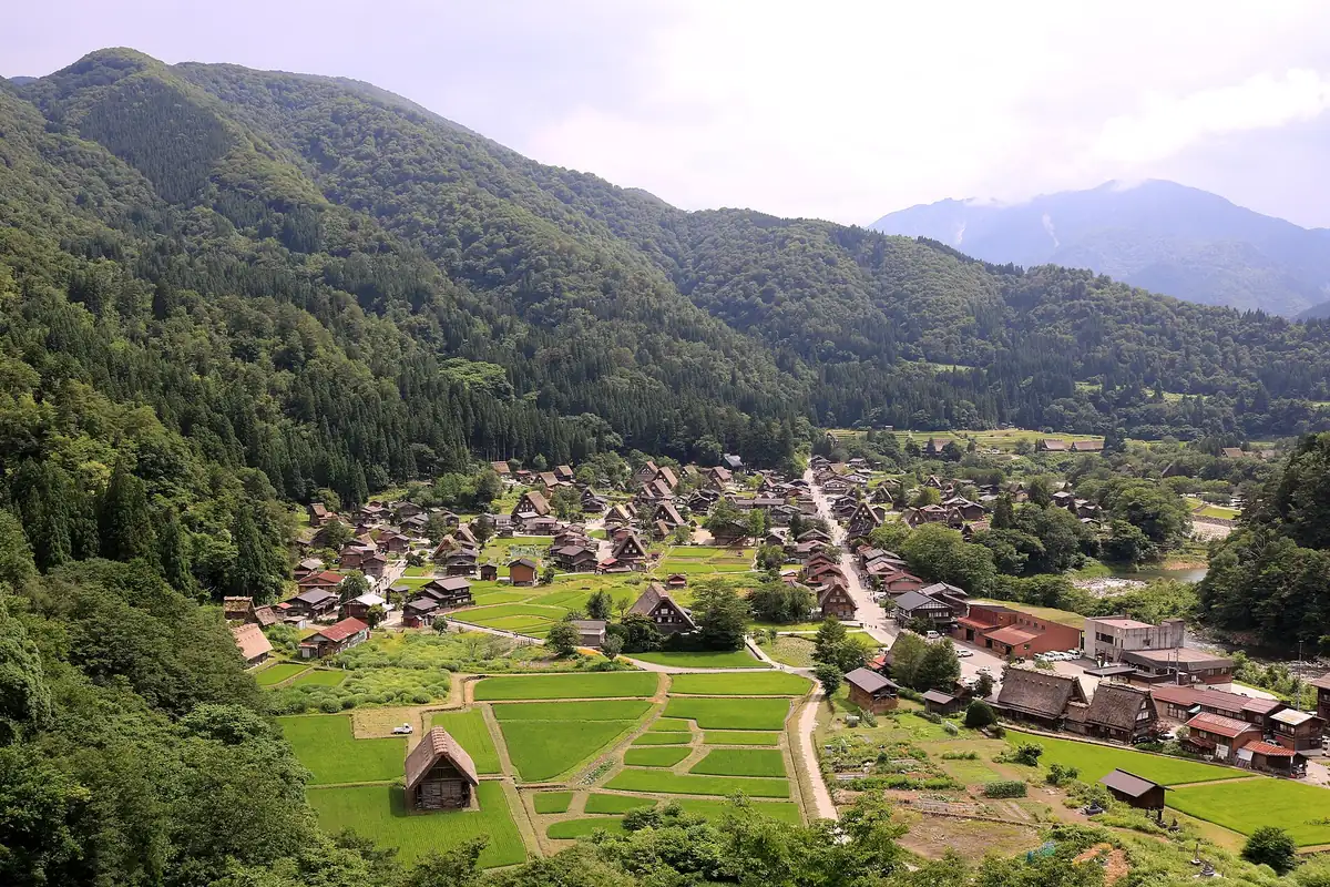 Shirakawa-go village in a green valley, with thatched houses and rice paddies below forested mountains