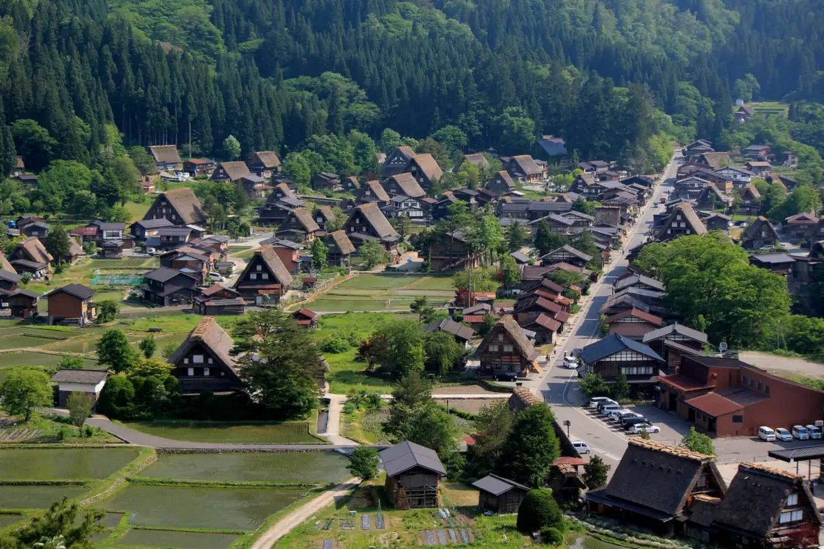 Shirakawa-go village seen from above, with thatched houses among green trees and flooded rice paddies