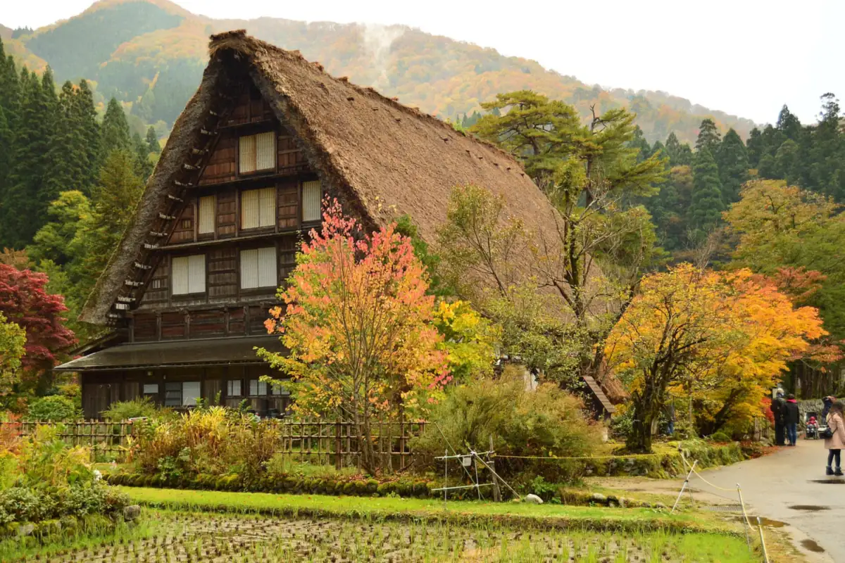 Thatched farmhouse with a steep roof and dark wooden walls, beside orange and yellow autumn trees in Shirakawa-go