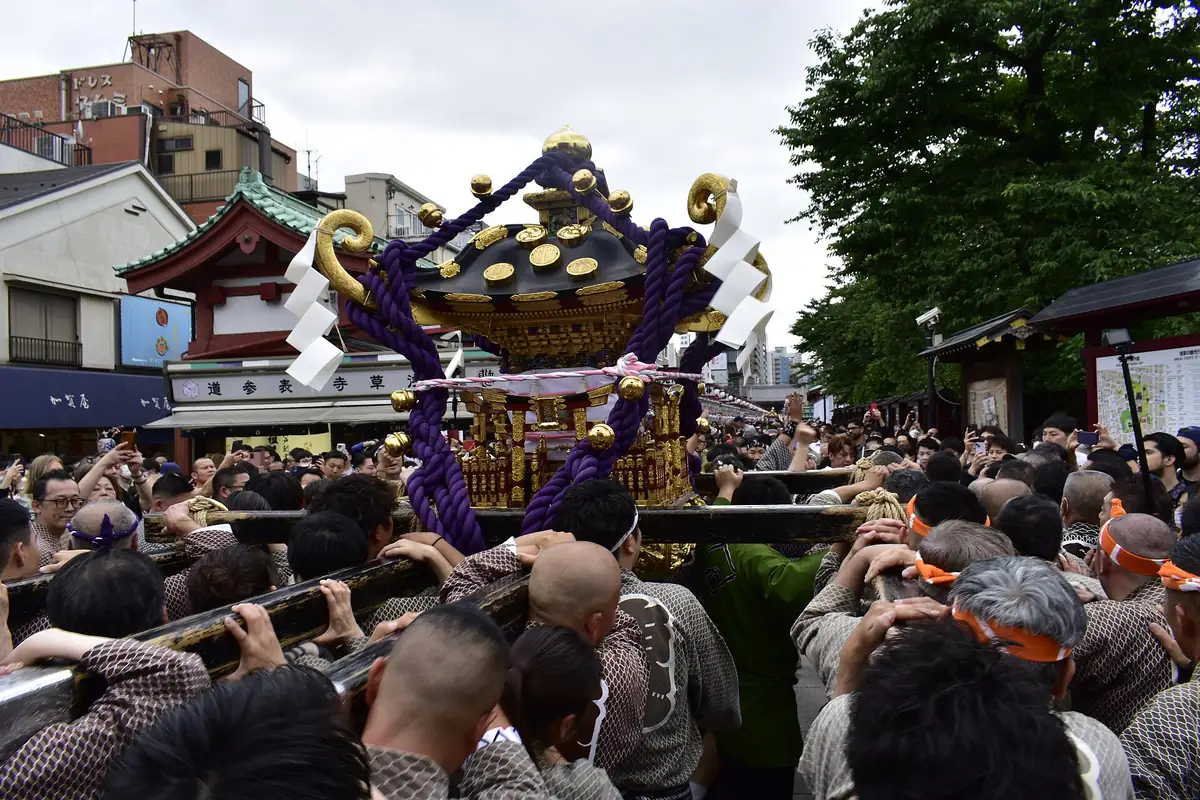 Mikoshi portable shrine with purple ropes carried on shoulders through a crowd during Sanja Matsuri