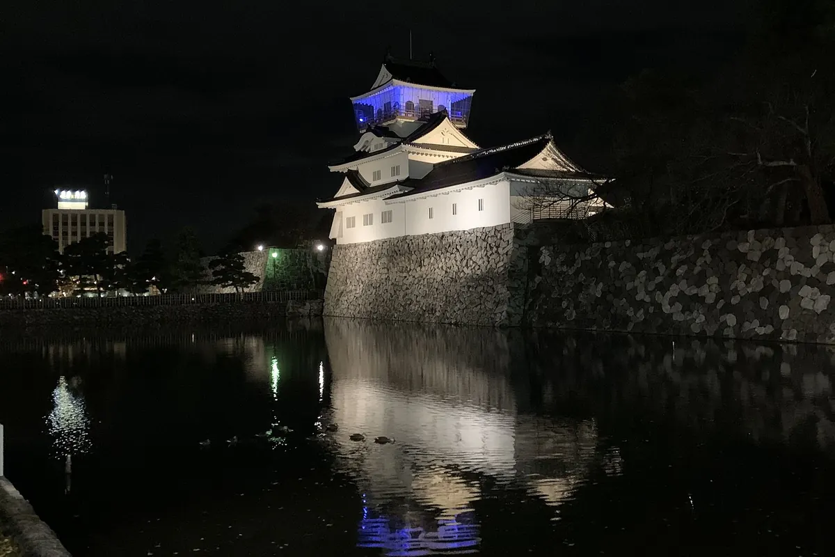 夜にライトアップされ、石垣と天守が堀に映る富山城
