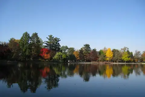 Autumn trees in red, orange and yellow reflected in Tokiwa Pond at Tokiwa Park, Asahikawa