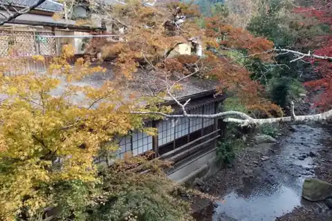 Red, orange and yellow autumn leaves over a traditional wooden house beside a river in Akizuki, Fukuoka