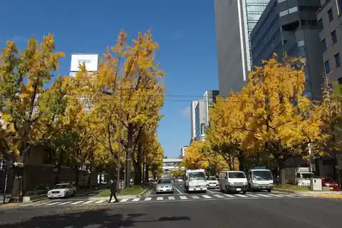 Yellow ginkgo trees lining Mido-suji Avenue in Osaka, with cars on the road and tall buildings behind