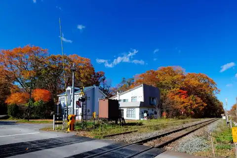 Autumn trees with red and orange leaves beside a railway crossing and buildings at Onuma Park near Hakodate