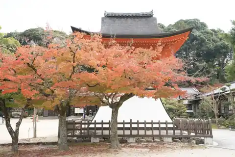 Red and orange autumn maples in front of a temple building at Fudoin Temple in Hiroshima