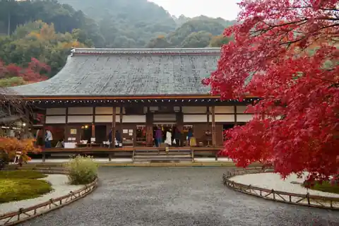 A temple hall with a tiled roof next to a bright red Japanese maple tree in a gravel garden at Arashiyama