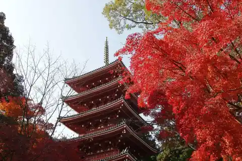 Red autumn leaves beside a five-story pagoda at Chikurin-ji Temple in Kochi