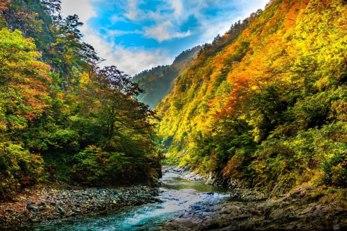 新潟・清津峡の渓谷。緑・黄・橙・赤の紅葉に覆われた山の斜面