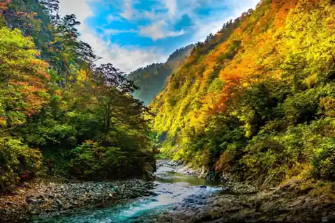 Kiyotsu Gorge river valley in Niigata with mountainsides covered in green, yellow, orange, and red autumn foliage