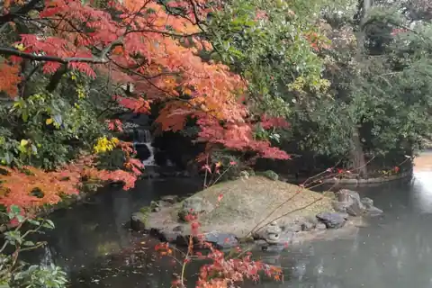 Red and orange autumn leaves overhanging Kako-no-ike Pond at Korakuen Garden in Okayama