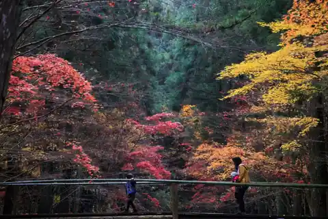 Red, orange, and yellow autumn trees behind a bamboo railing with two visitors at Okuni Shrine, Shizuoka