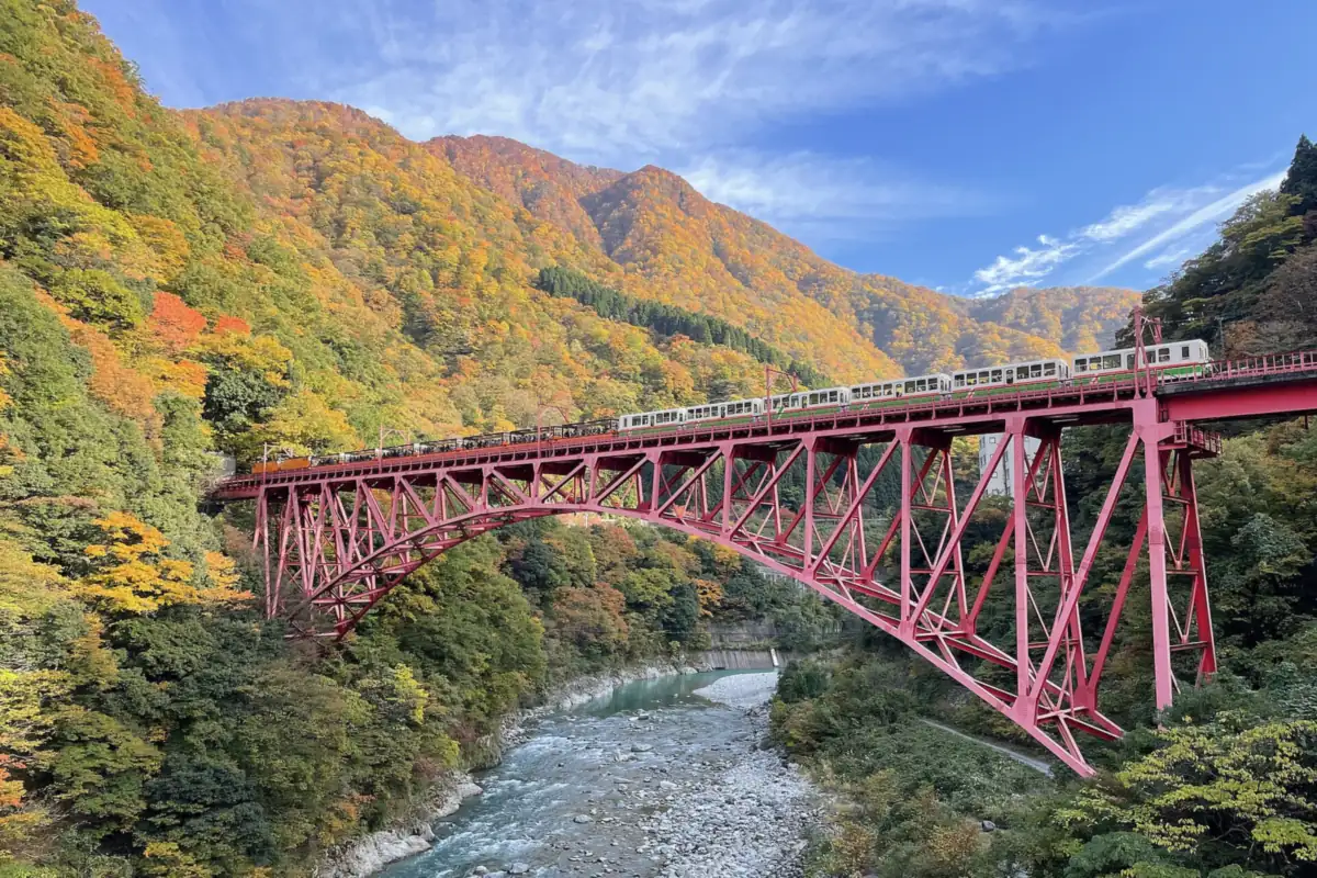 富山の紅葉に囲まれた赤い橋を渡る黒部峡谷鉄道の列車