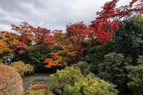 Red and orange maple leaves around a Japanese garden pond at Shoyoen, Nikko, Tochigi