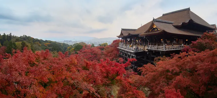 Kiyomizu-dera's wooden main hall and stage rising above a hillside of red autumn maples in Kyoto.