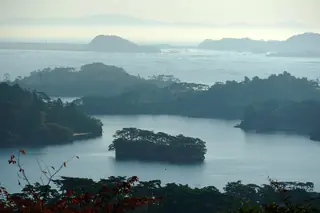 Pine-covered islets scattered across Matsushima Bay in Miyagi on a hazy day, seen from Saigyo Modoshi no Matsu Park with a few red leaves in the foreground.