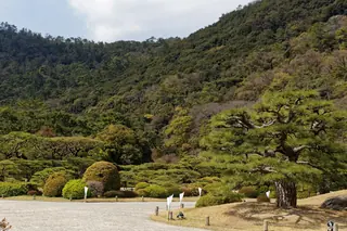 Clipped pines and lawns of Ritsurin Garden in Takamatsu below a forested hill.