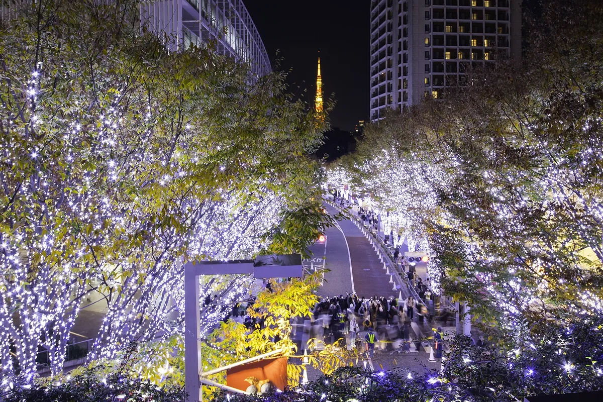 夜晚六本木櫸坂坡道兩旁點燈的樹木，遠方是東京鐵塔，下方有人潮