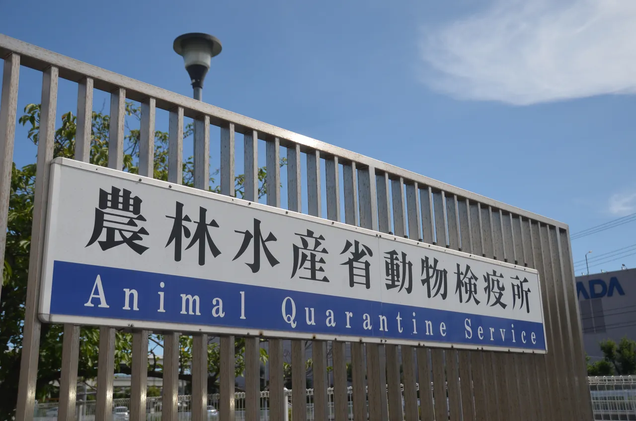 横浜にある動物検疫所本所の門の看板