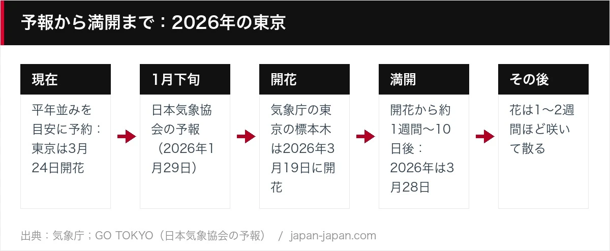 予報から満開まで：2026年の東京