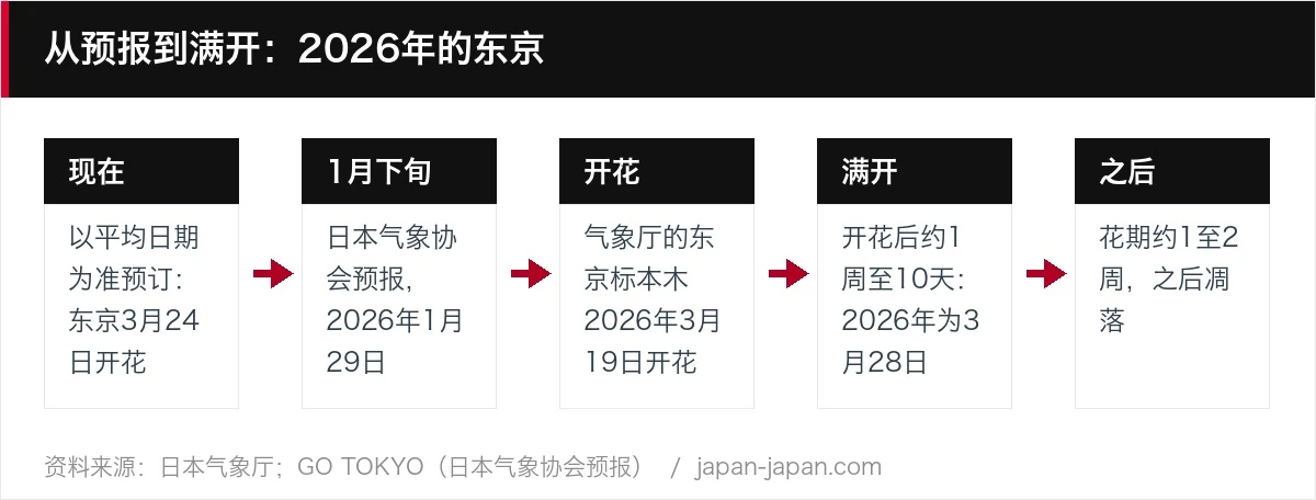 从预报到满开：2026年的东京